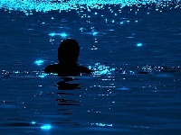 ночное купание 