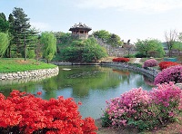Удивительная красота Южной Кореи