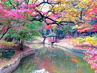 красота Кореи